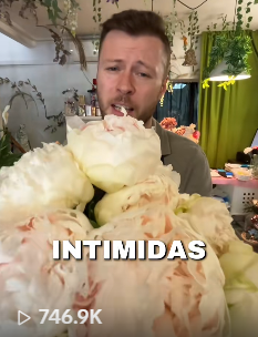 Resultado 3